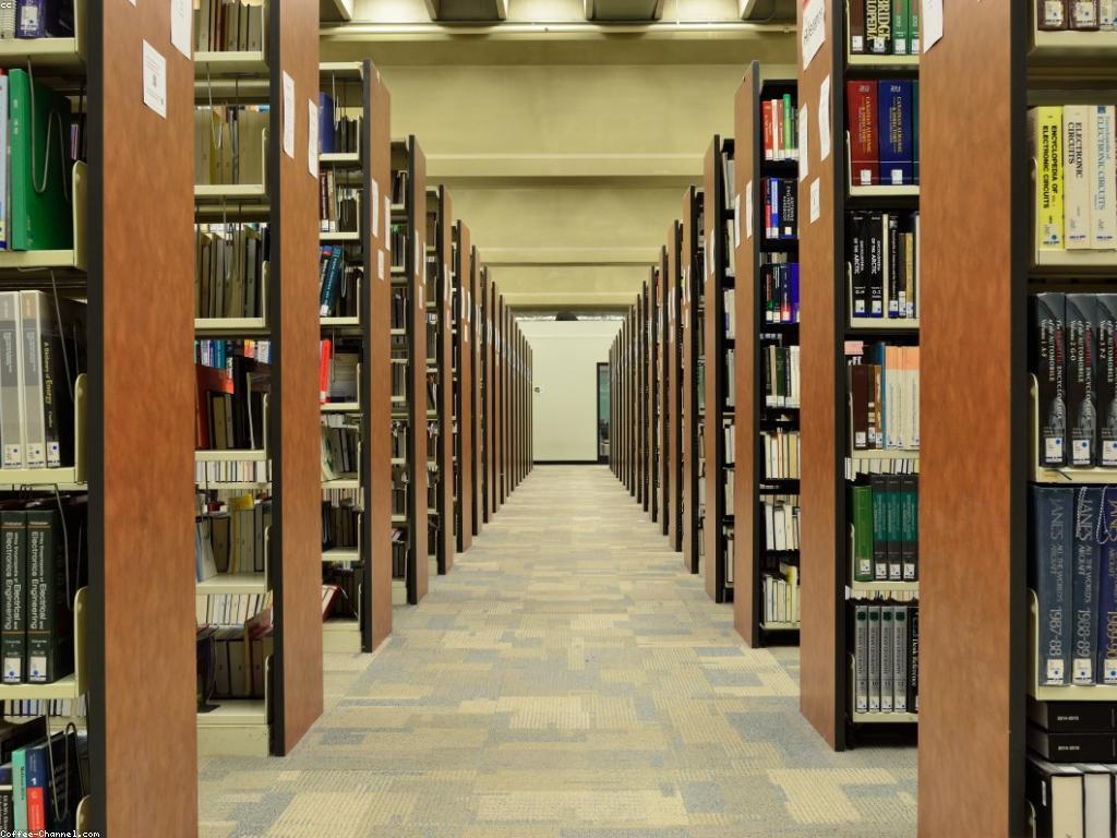 សំណួរដែលតែងដាក់សំណួរ