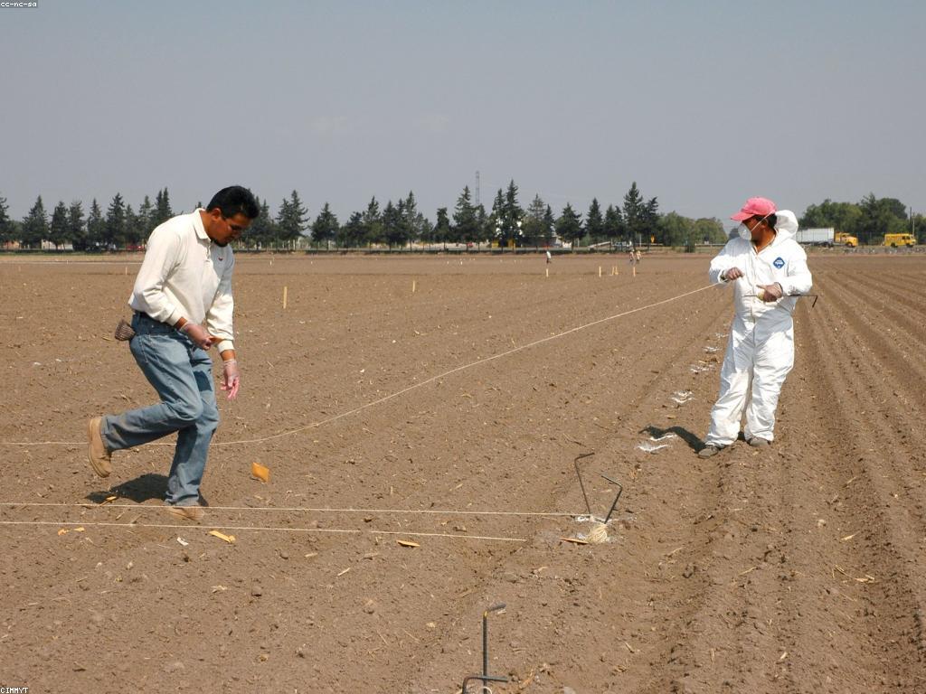 យុទ្ធសាស្ត្រប្រសើរពីការអនុវត្ត