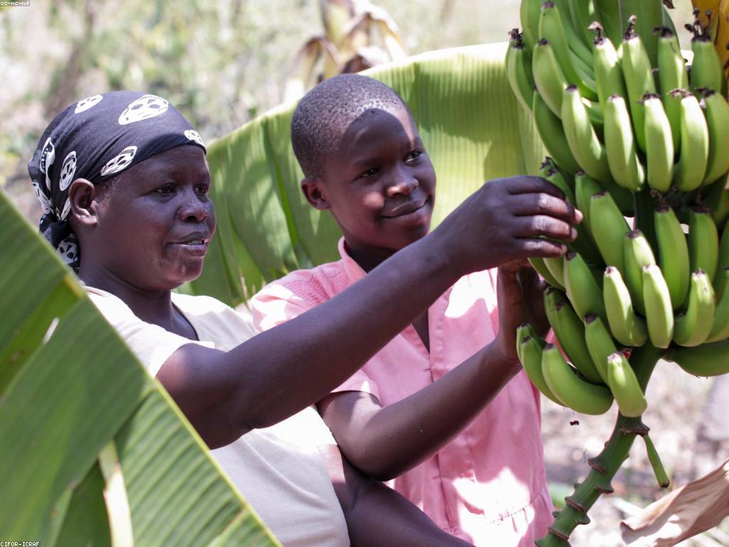 ប្រភេទប្រាក់រង្វាន់ និងវិធីប្រើប្រាស់