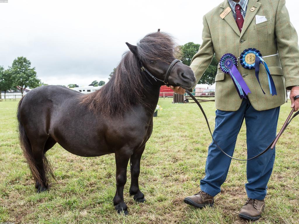 ប្រភេទប្រាក់រង្វាន់ និងអត្ថប្រយោជន៍របស់វាសម្រាប់អ្នកឈ្នះ